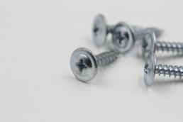 Wafter Head Screw